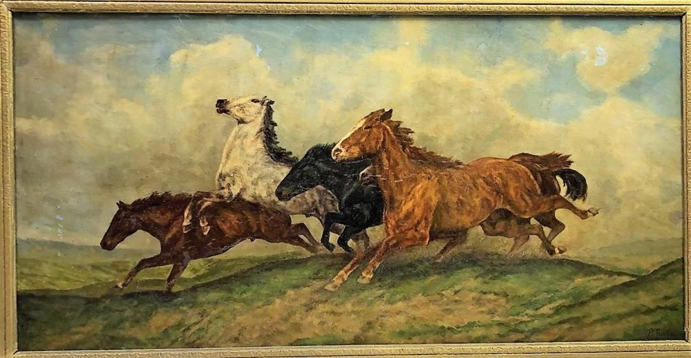 Cavalli